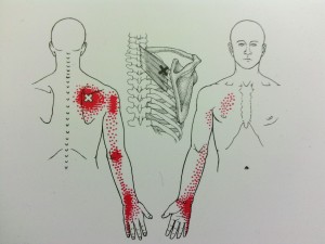 active isolated stretching
