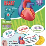 Heart facts